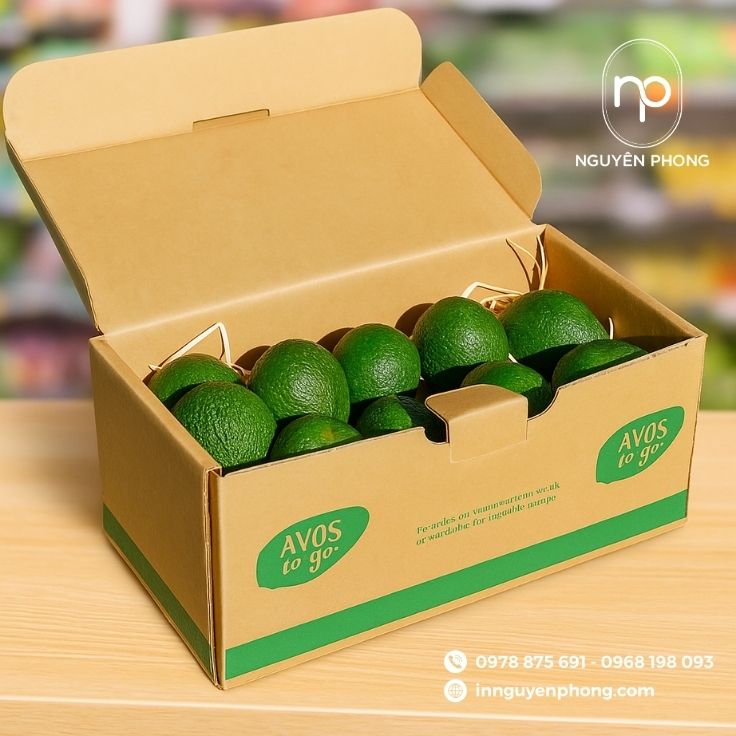 Mẫu thùng carton đựng đơn giản dạng nắp gài